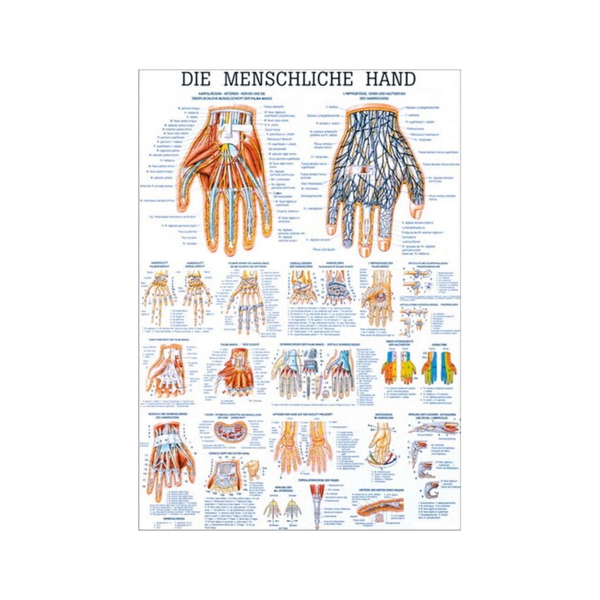 Handgelamineerd Engels