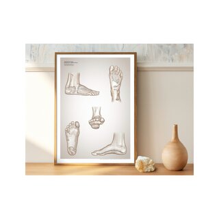 Reflexologie poster
