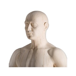 Acupunctuurmodel 70 cm voor professioneel gebruik