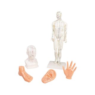 Chinese acupunctuurset, 5 modellen