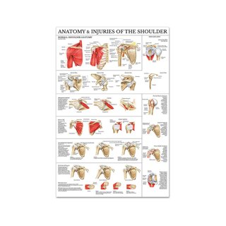 Schouder- en elleboogposter in hoogglans PET-kunststoffolie met de afmetingen 51x66 cm