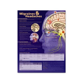 Educatieve poster Migraine en hoofdpijn, gelamineerd 51x66 cm (Engelstalig)
