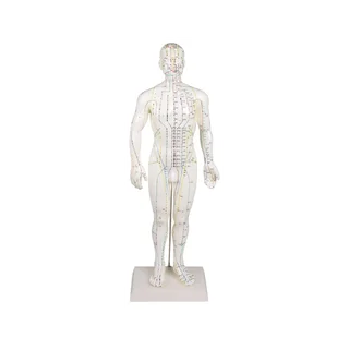 Chinese acupunctuurfiguur, man