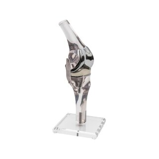 Kniemodel met endoprothese