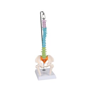 Miniatuurrug, didactisch