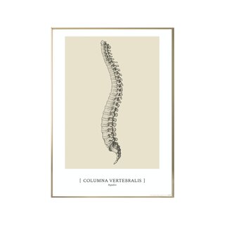 Anatomische kunstposter - CLASSIC1