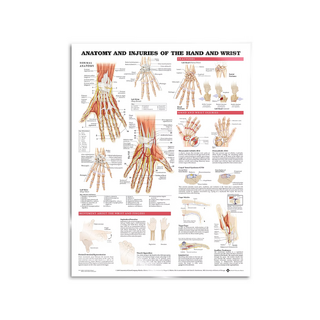 Poster - Anatomie en pathologie van de hand en pols