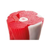 Kniemodel met spier in 12 delen