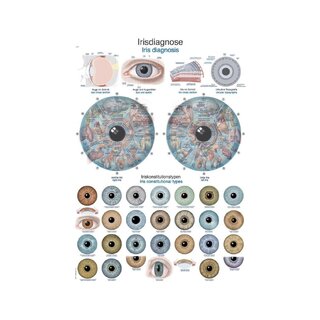Diagram Iris diagnose anatomie bord 50x70cm