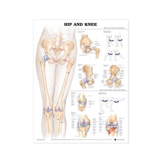 Anatomiekaart - Heup-knie